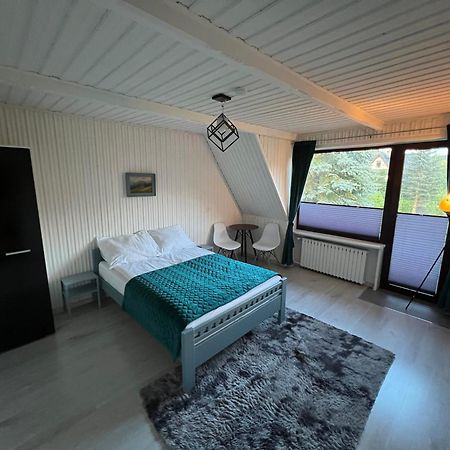 Apartstudio Giewont ザコパネ エクステリア 写真
